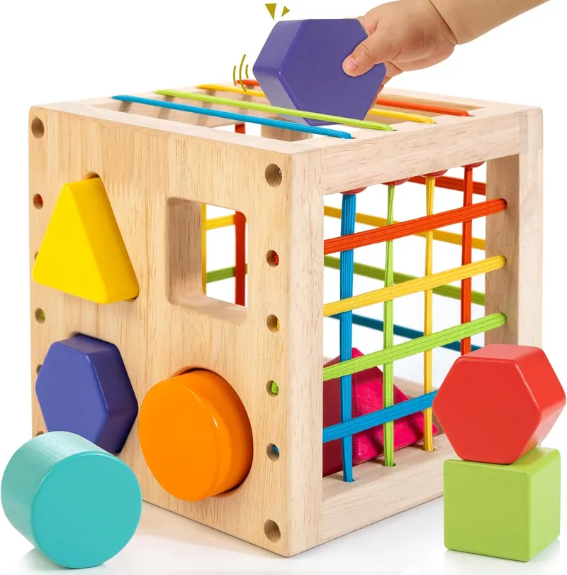 Forme de tri Jouet en Bois à partir de 1 an, Jouets sensoriels Montessori, motricité Fine Jeux de tri pour l’Apprentissage précoce, Cadeau pour Les Tout-Petits Garçons Filles à partir de 12 Mois